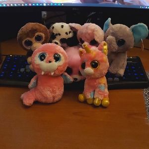 Beanie Boo Collection